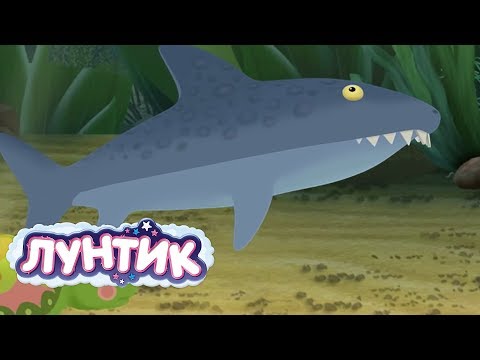 Лунтик | Пруд 🐬🐳 Сборник мультфильмов для детей