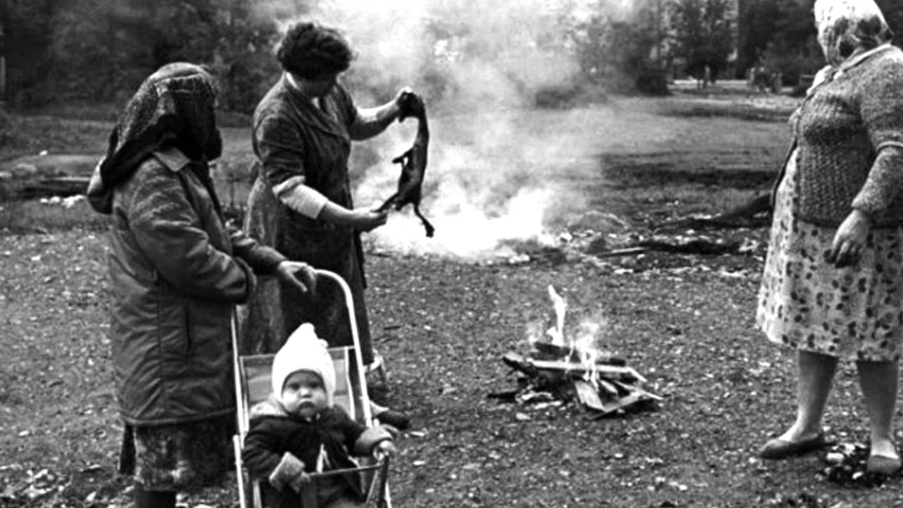 Запрещённые в СССР фотографии от группы «Трива» 🖼️