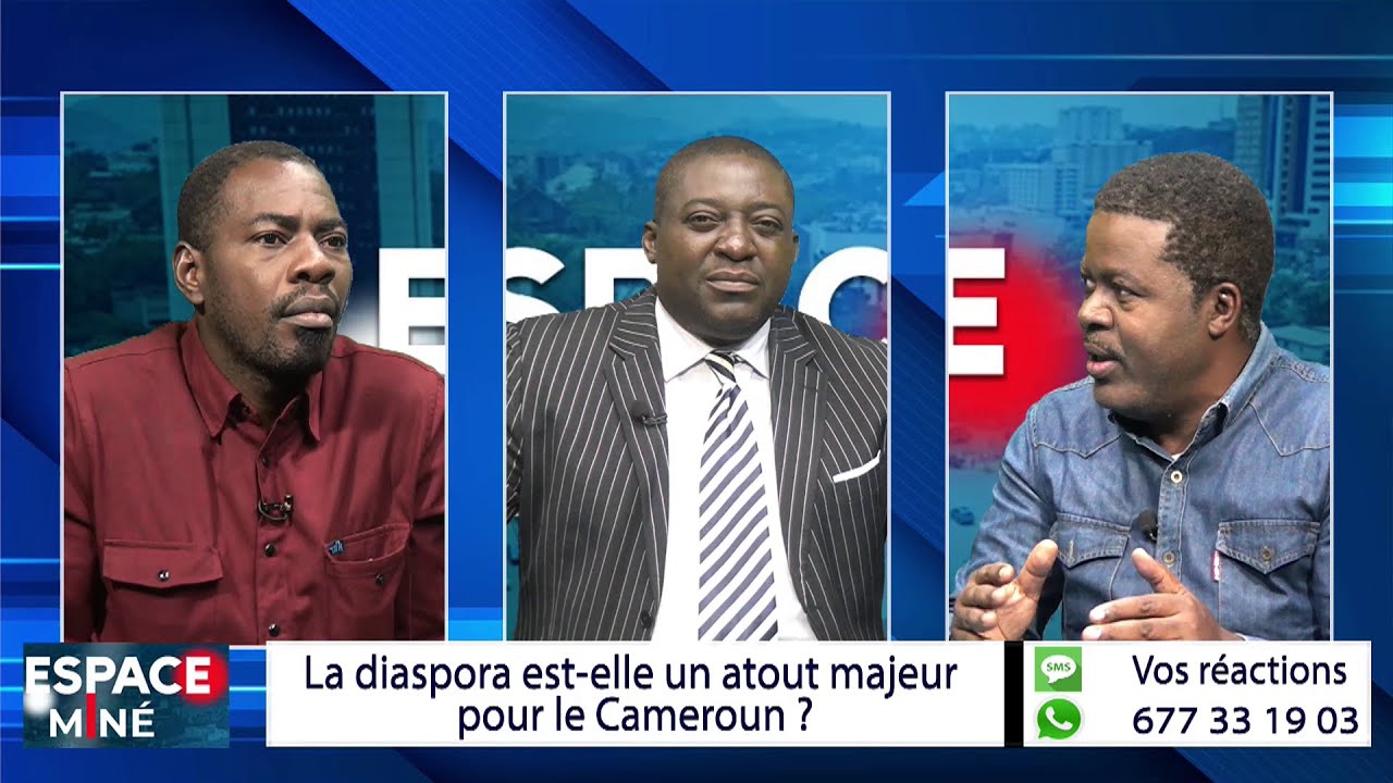 Impact de la Diaspora sur le Développement du Cameroun 🇨🇲