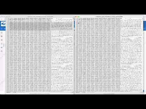 Zscaler x Votiro | Product demo | Steganography Attack Prevention