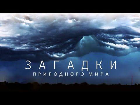 Неизведанные чудеса природы - Большой документальный фильм.