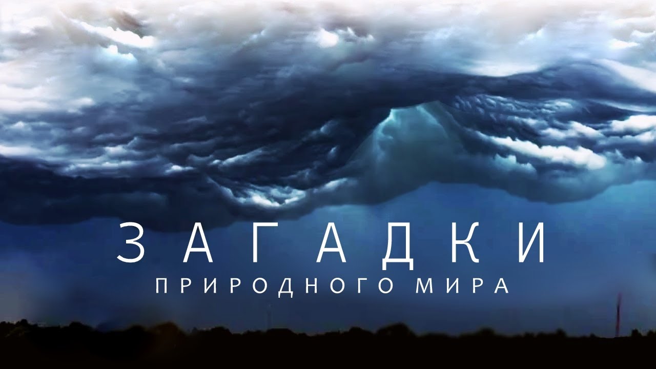 Неизведанные чудеса природы — Документальный фильм