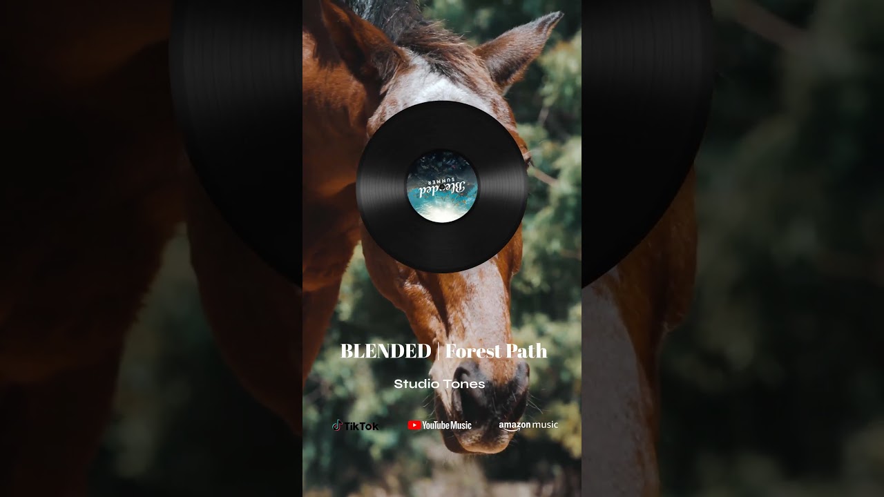 BLENDED | Forest Path #peaceful #relax #music #asmr #easylisteningmusic #originalsound