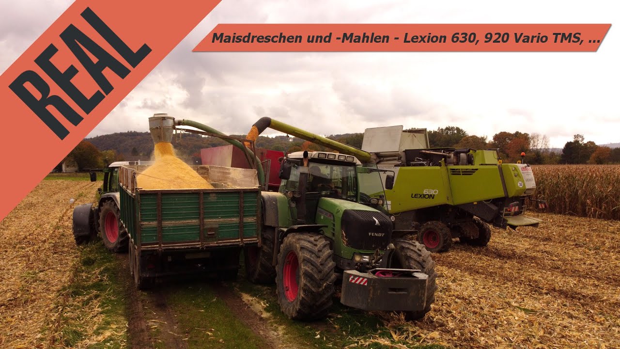 Maisdreschen & Mahlen 2021 🚜 | Claas & Fendt in Aktion