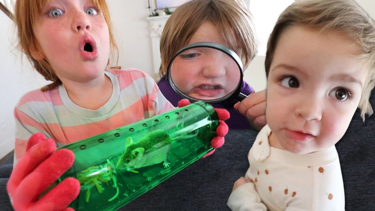 Detective Kids Catch and Release Baby Animal During Family Birthday Party