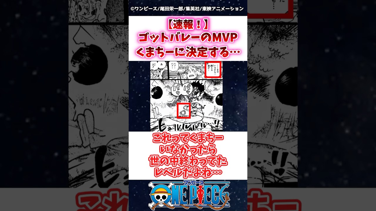 【ワンピース】最新1164話でゴットバレーのMVPはくまちーに決定！🔥
