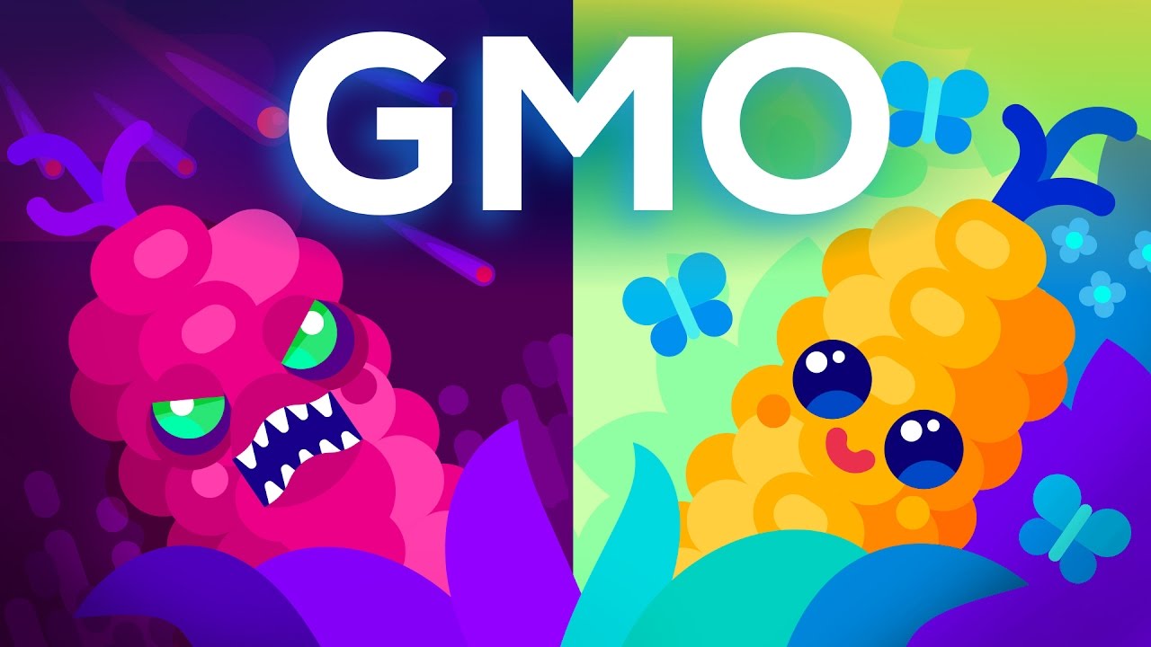 Are GMOs Safe? Pros & Cons of Genetic Engineering 🌱