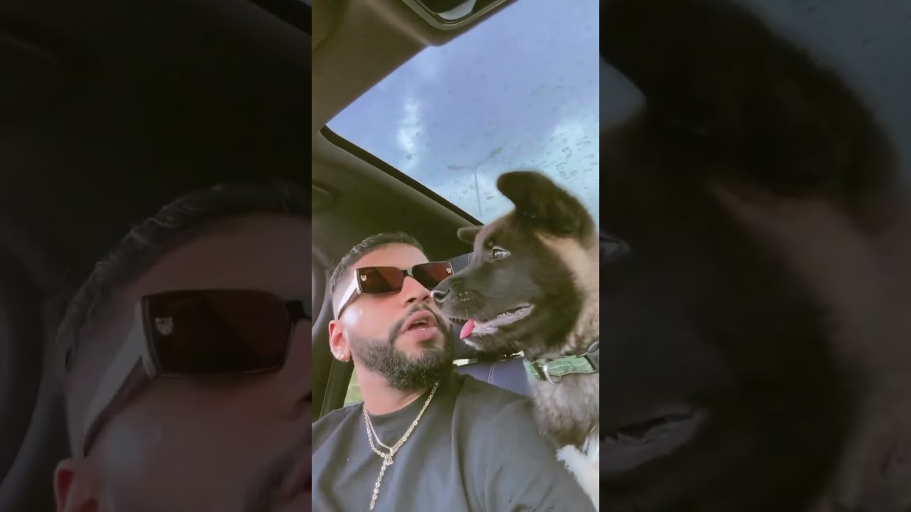 Grande Samara Top Reels 2025 💥