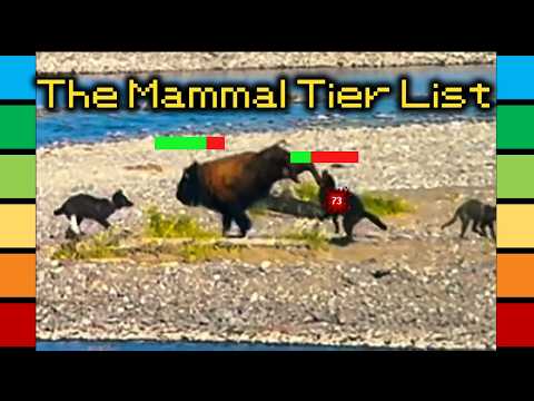 The Mammal Tier List