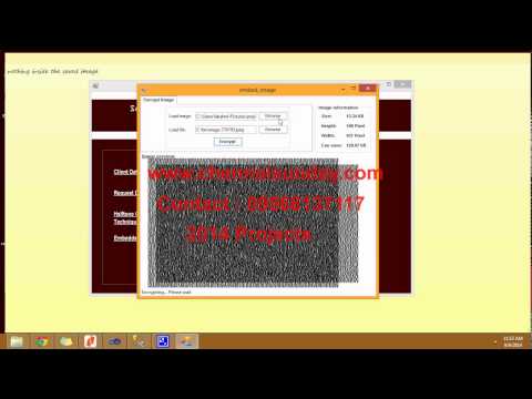 Sharing Visual Secrets in Single Image Random Dot Stereograms