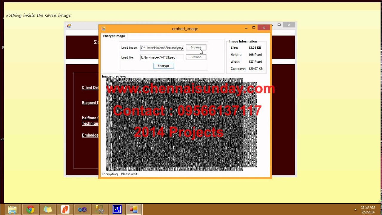 Sharing Visual Secrets in Single Image Random Dot Stereograms