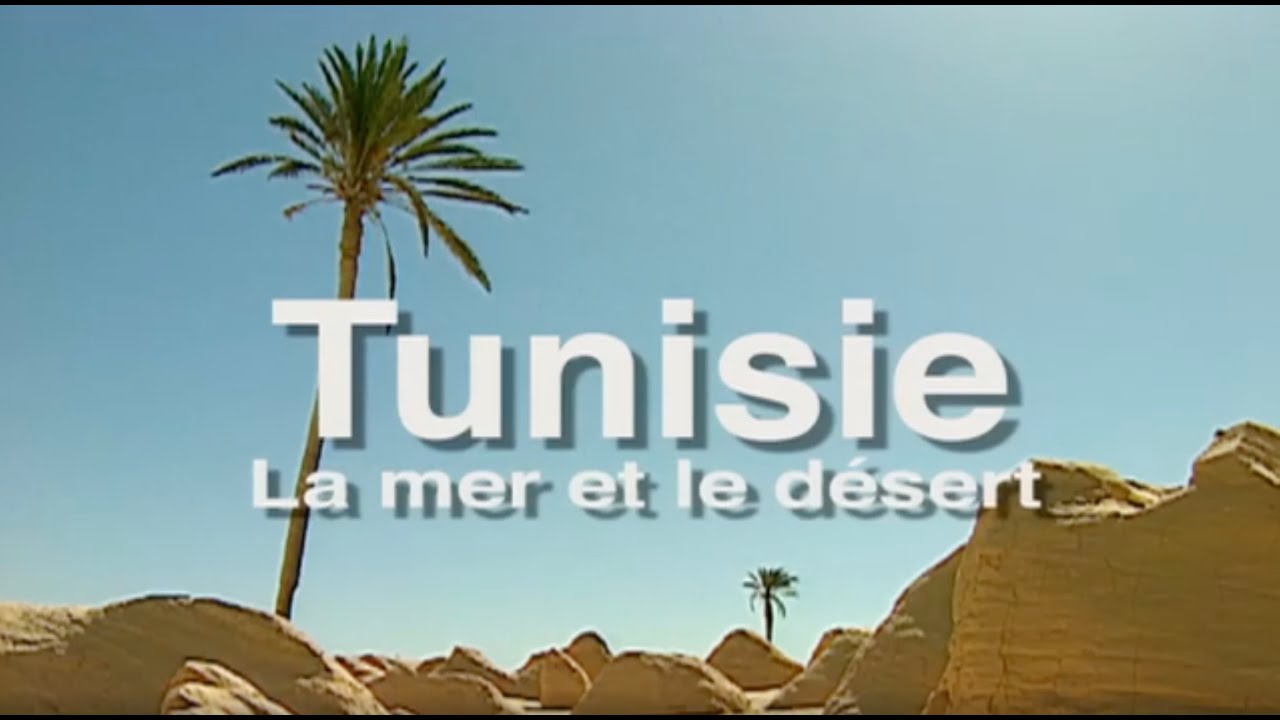 Tunisie : Voyage entre Mer et Désert avec Pierre Brouwers 🌍