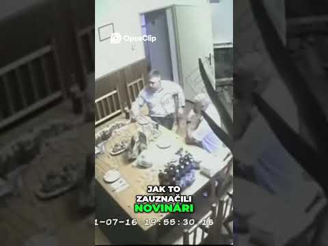 Záleská! Politická hra a prepustenie osôb??!