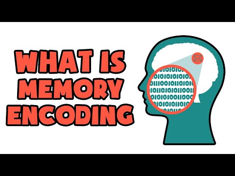 What is Memory Encoding | Explained in 2 min
