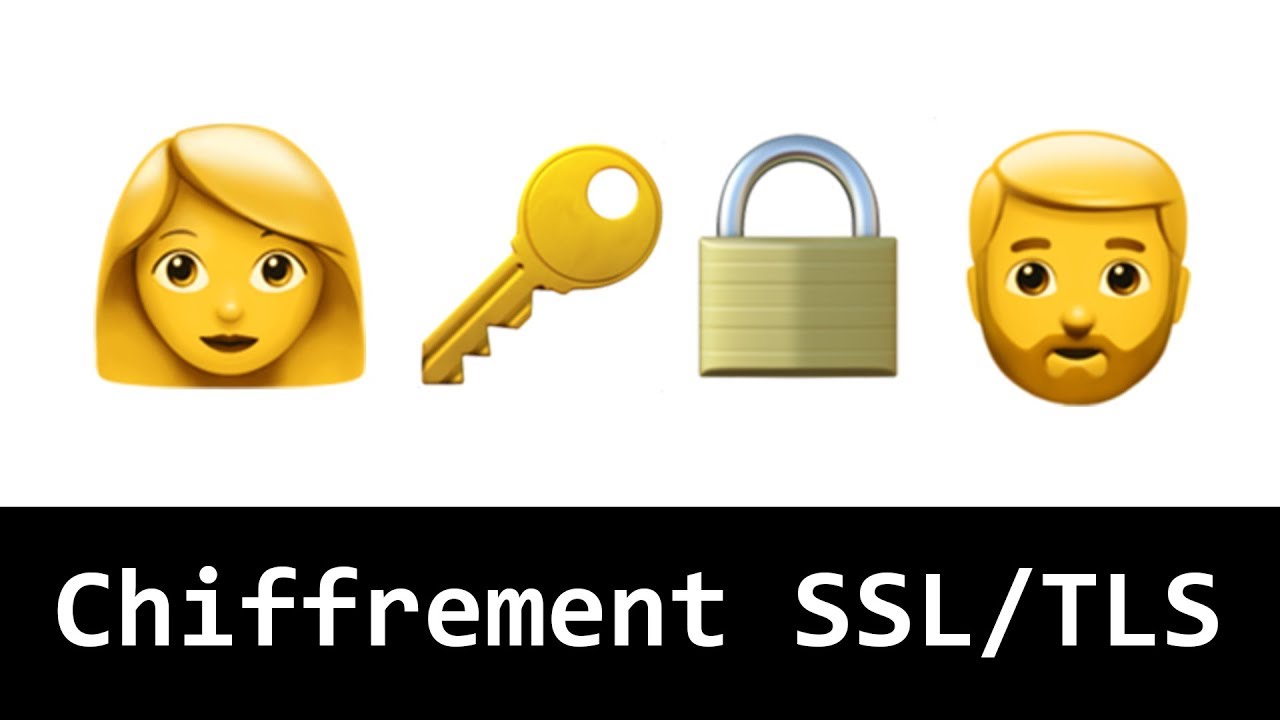 SSL/TLS Décrypté avec des Emojis : Comprendre le HTTPS Facilement 🔐