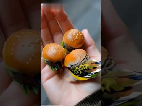 Barger translate birds🦜🦜 #shortvideo #shortsviral #shorts #short #foryou #shortsvideo #viralvideo