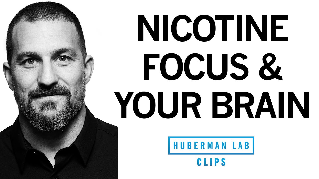 Unlocking Focus: How Nicotine Affects Your Brain with Dr. Andrew Huberman ðŸ§