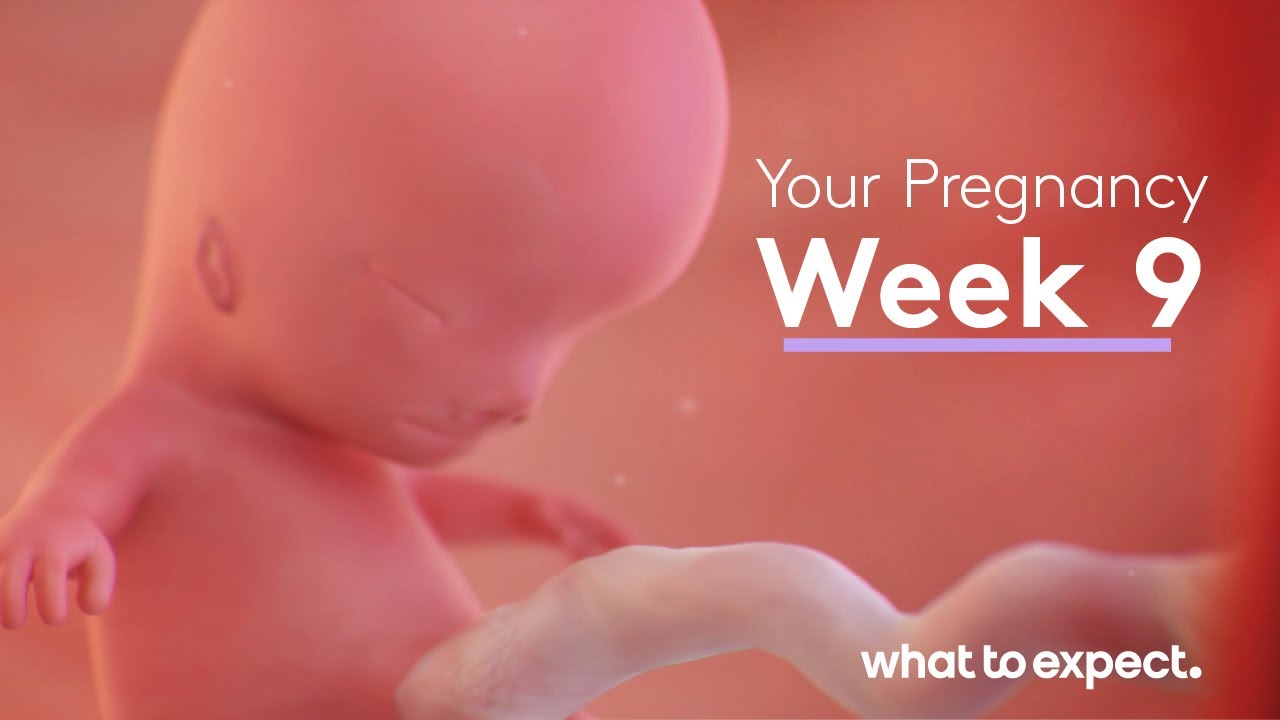 9 Weeks Pregnant: What to Expect 🤰