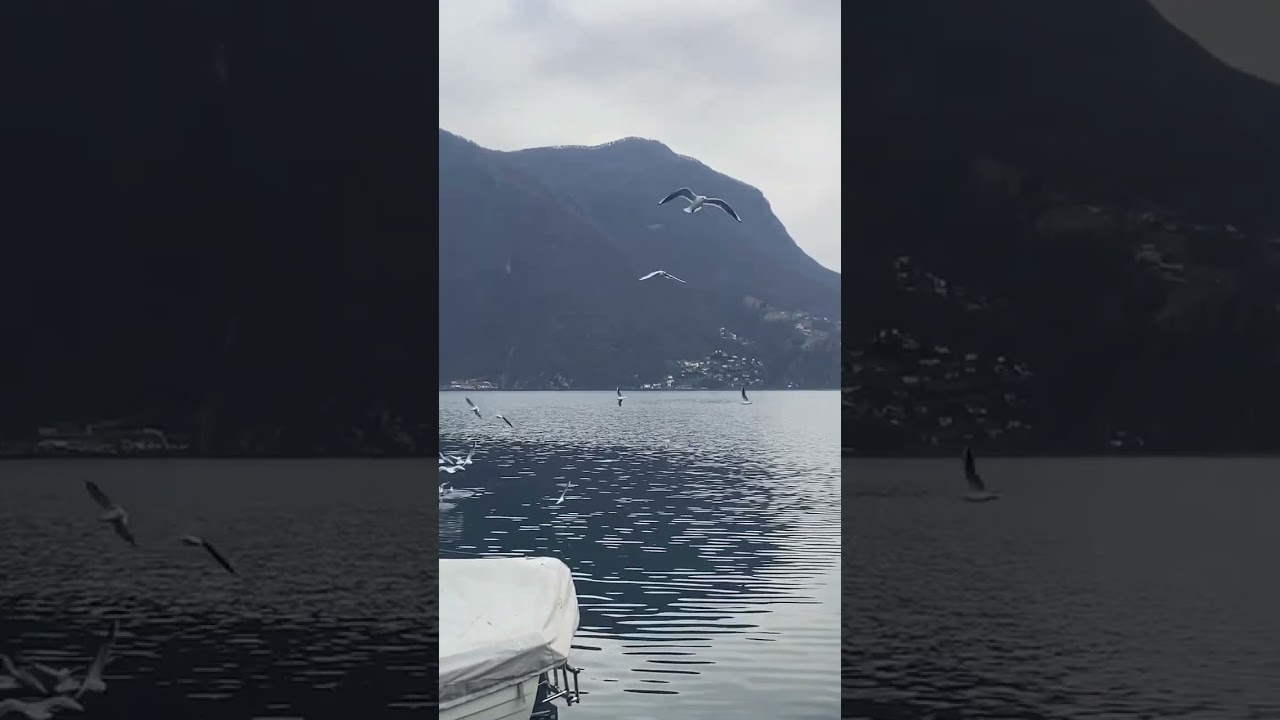 Мелодия счастья 🎶