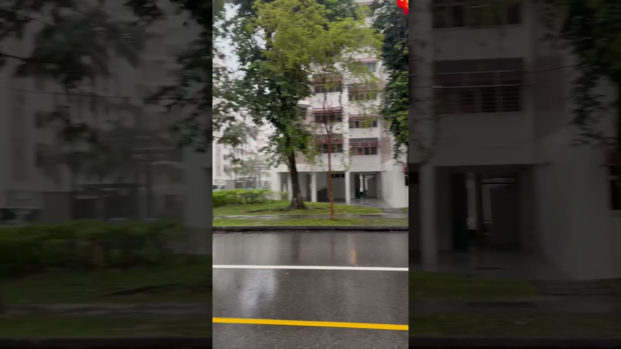 Experience a Serene Rainy Day in Singapore 🌧️ | Nature's Beauty in the City