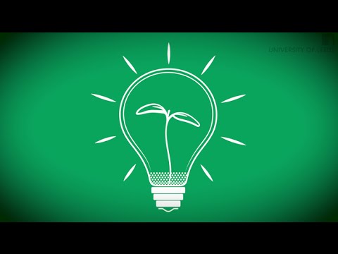 Starting a Business 1: Vision & Opportunity 🌟