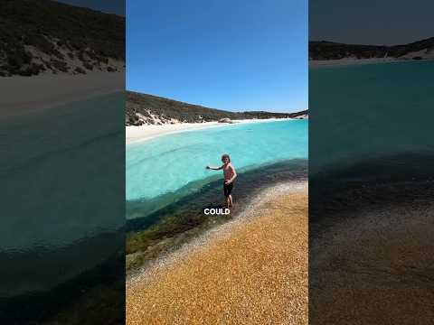 How is this in Australia!! 🏝️✌️