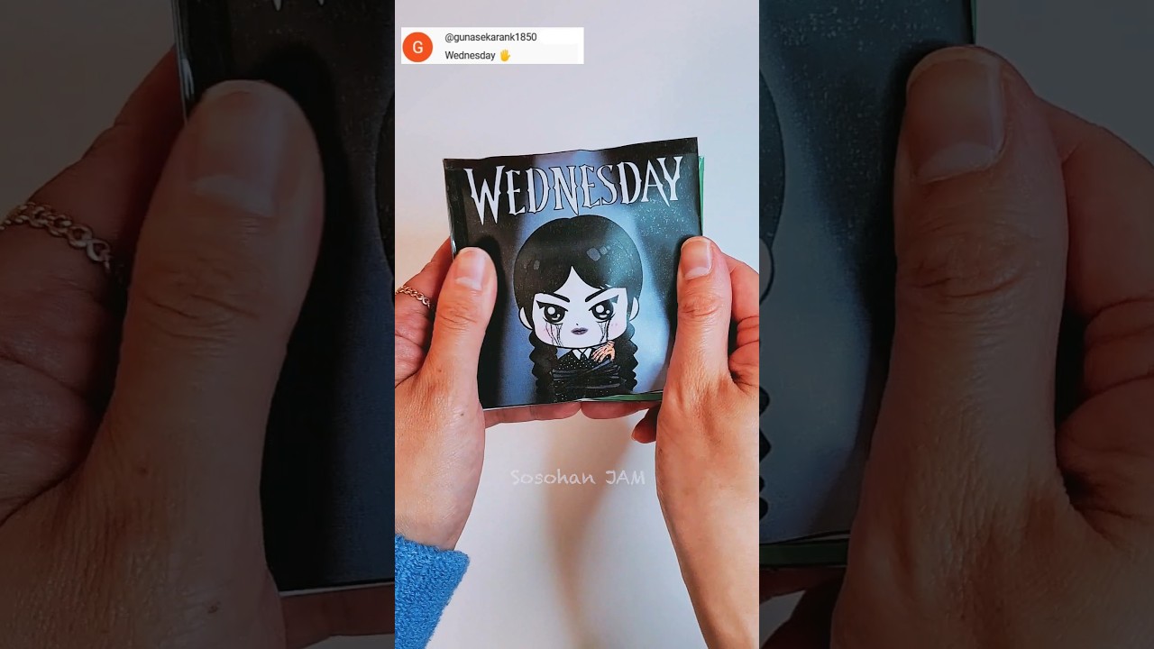 Wednesday 2 Game Book Blind Bag 🎃