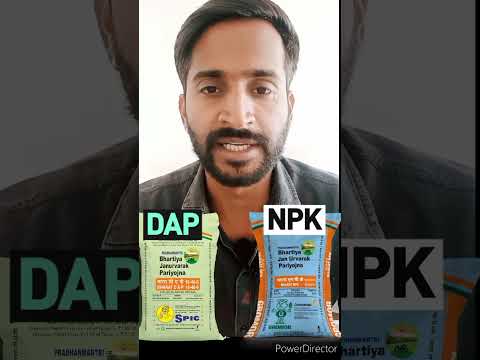 DAP vs NPK fertilizer #fertilizer #npk #dap #farmer #dharmenthakur #agriculture