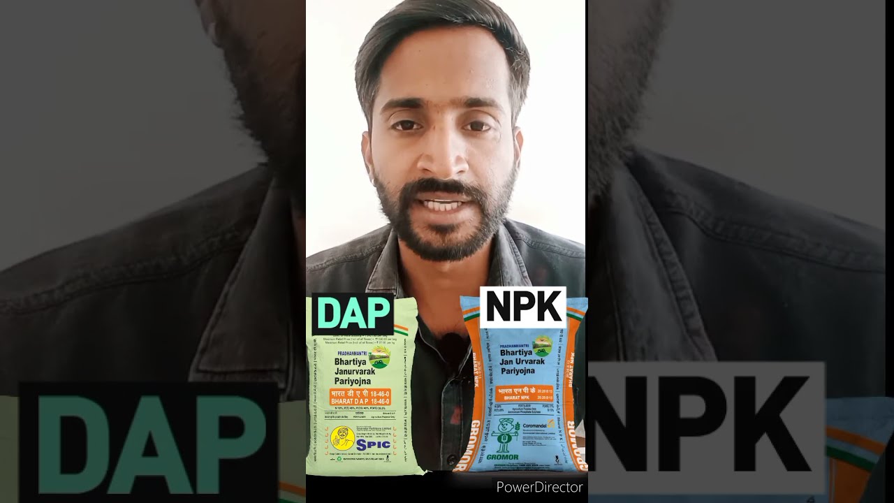 DAP vs NPK Fertilizer: Which Boosts Your Crops Better? 🌱