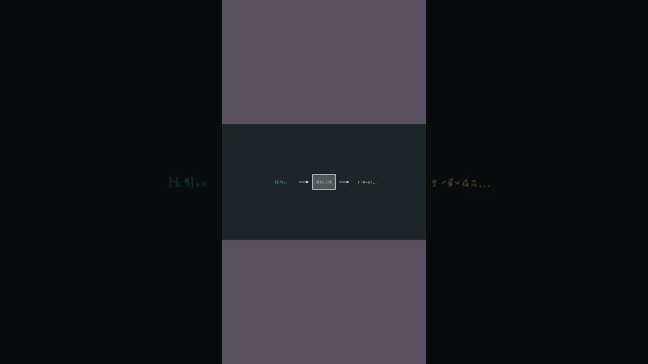 Unlocking the Secrets of Cryptographic Hash Functions 🔐