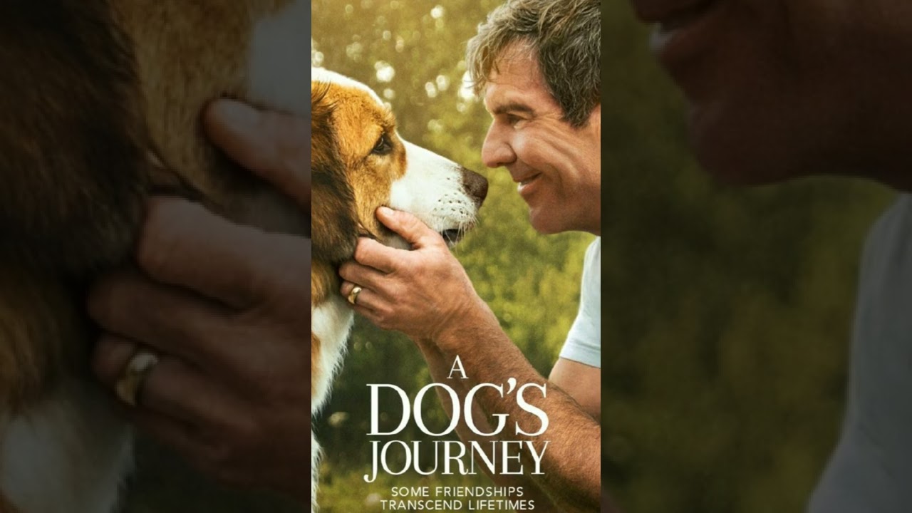 Películas Emotivas que Nos Hicieron Llorar 😢