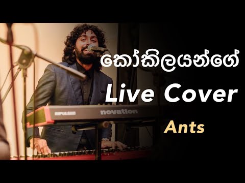 Kokilayange (කෝකිලයන්ගේ) Live cover at a wedding. Ants Band Srilanka