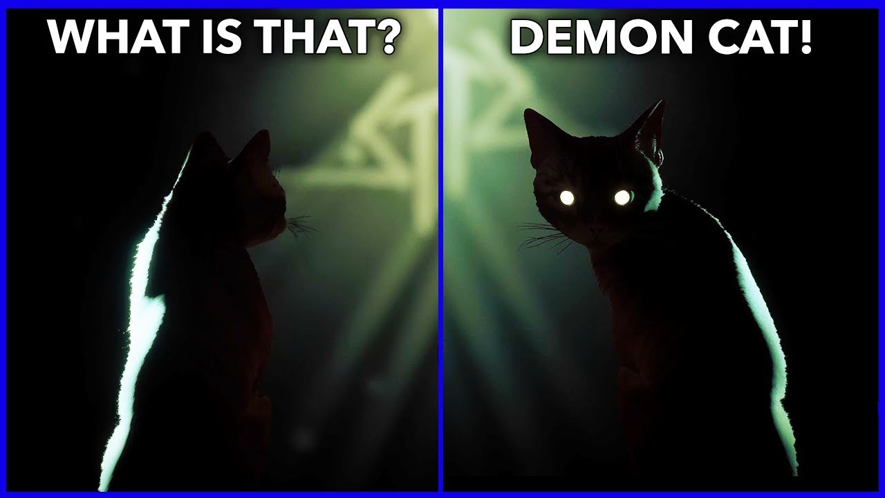 Stray: 20 Hidden Secrets & Easter Eggs 🐾