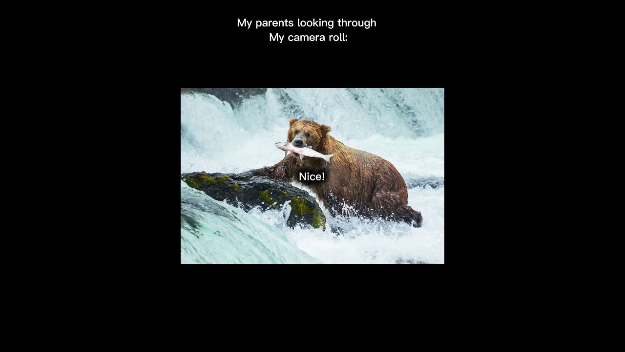 Hamilton and Lams: Key Insights