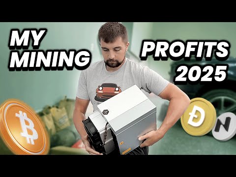 Honest Review of Mining Profitability in 2025