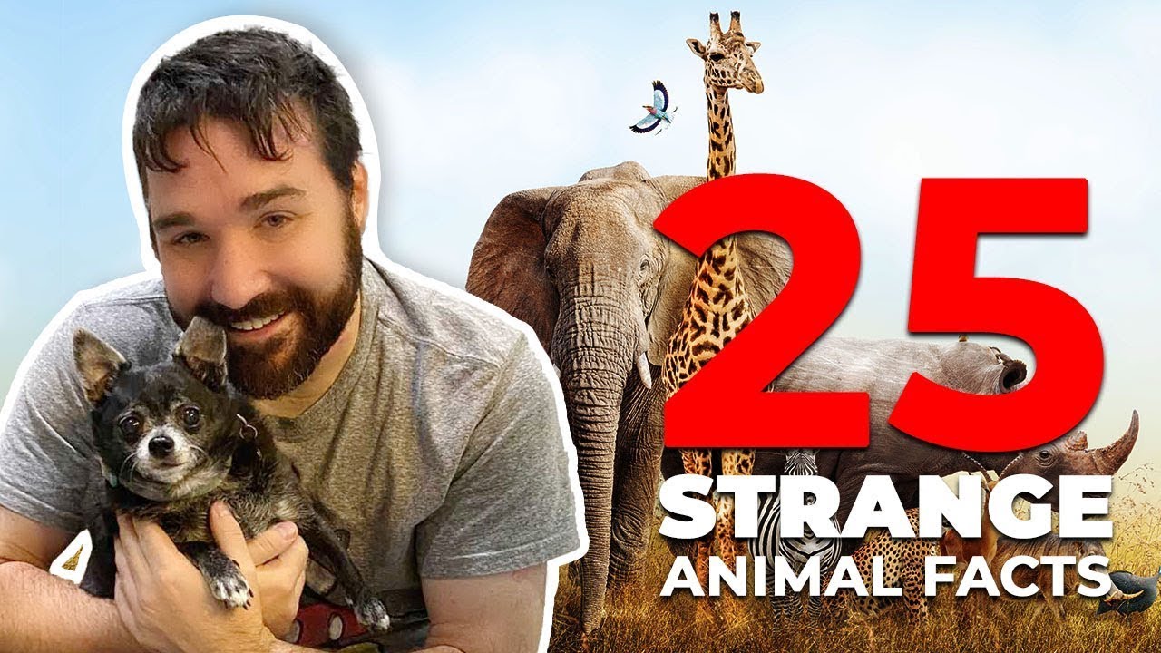 25 Strange Animal Facts