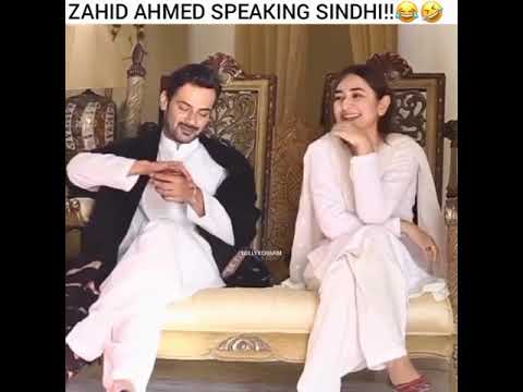 Zahid Ahmad's funny Sindhi😂 #shorts #zahidahmed #yumnazaidi #geotv