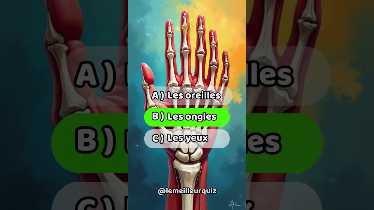 Quiz de Culture Générale : Êtes-vous un Génie? 🧠