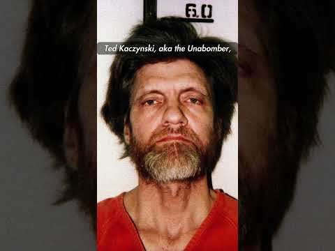 Van Buren and the Unabomber Fallout Pop Culture #shorts