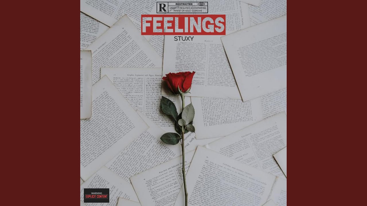 Feelings by Stuxy 🎶 (2024 Release)