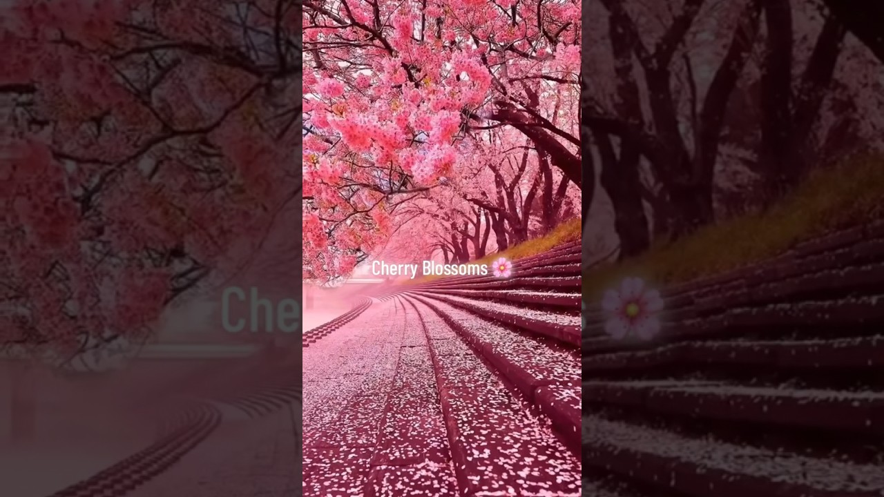 Unreal Places on Earth: Japan 🇯🇵