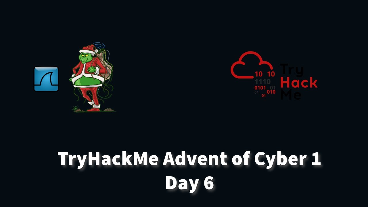 Detecting DNS Data Exfiltration with Wireshark | TryHackMe Cyber Challenge Day 6