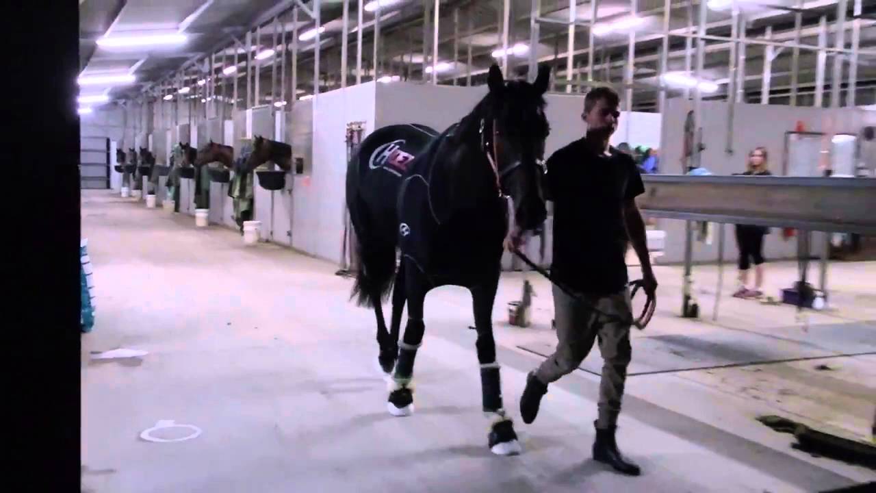 Xtravagant Heads to Melbourne for the Australian Guineas 🏇