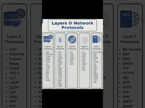 Layers And Network Protocol