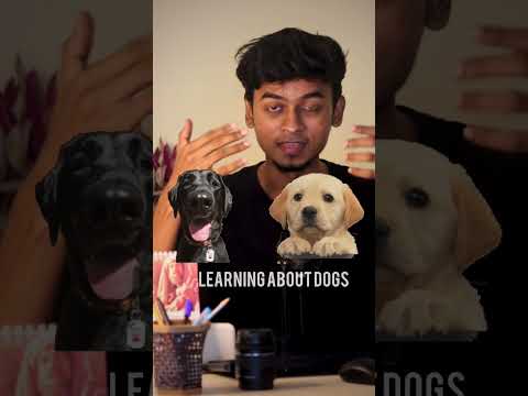 Machine Learning Explained🔥in 30 Seconds. #shorts #machinelearning