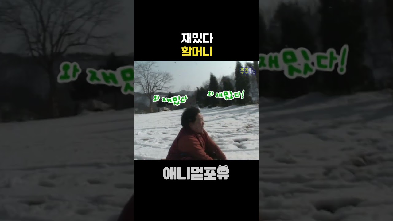 할머니의 재미있는 썰매 타기 이야기