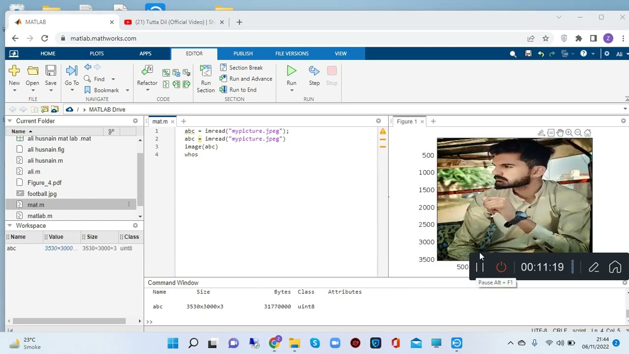 Guide to Using MATLAB Online for Digital Image Processing and Converting RGB Images to Grayscale