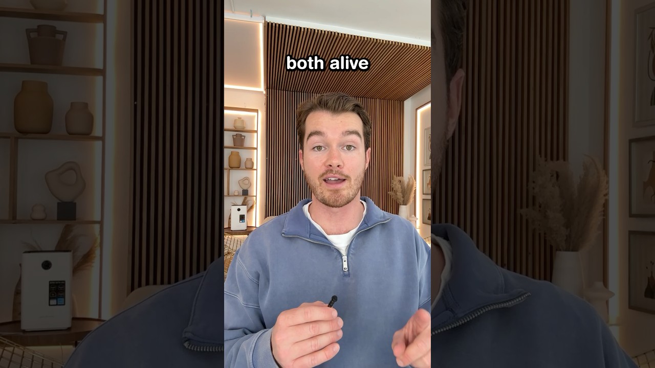 Schrödinger’s Plates: The Quantum Puzzle You Need to See 🥘