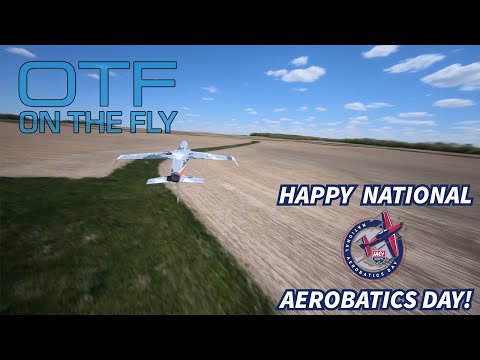 Eflite Viper 90mm - On The Fly