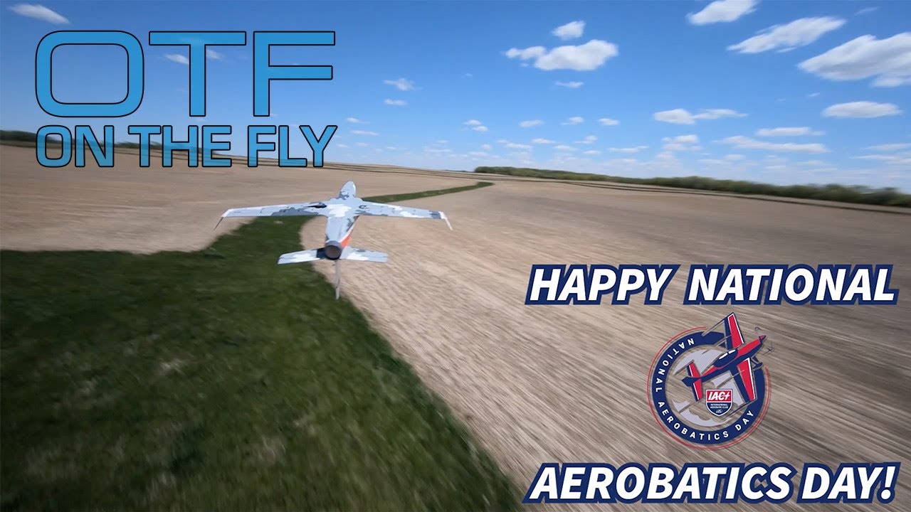 Eflite Viper 90mm: Ultimate On-The-Fly RC Jet Experience ✈️